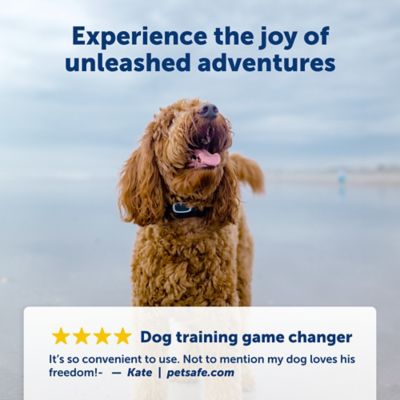 PetSafe 100 yd. Lite Remote Dog Training Collar, For Dogs 8 lb. or Larger, Neck Sizes 6 to 23 in.