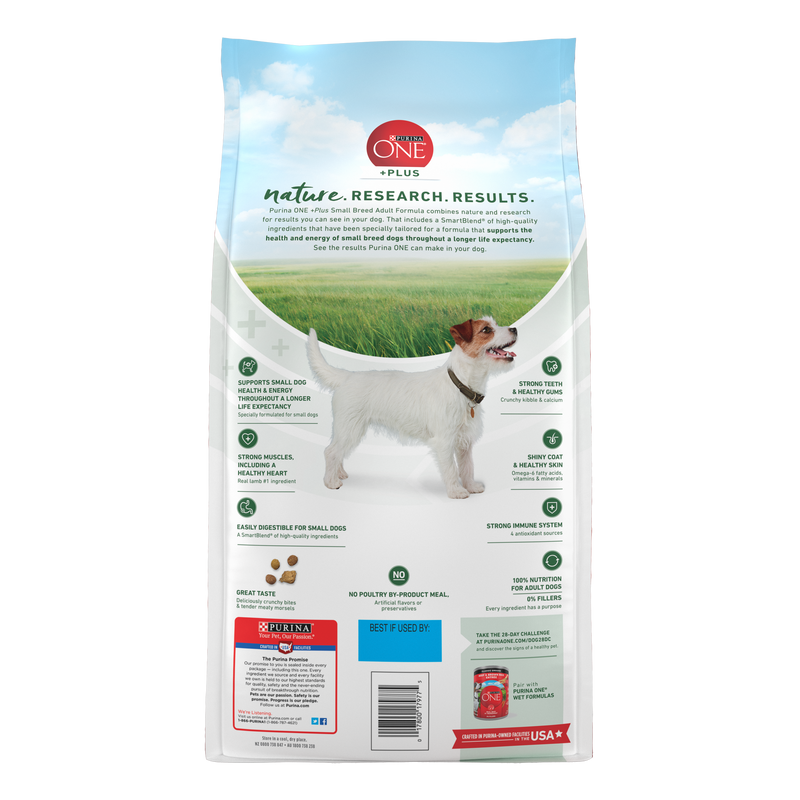 Purina ONE Plus Small Breed Lamb and Rice Formula Dry Dog Food