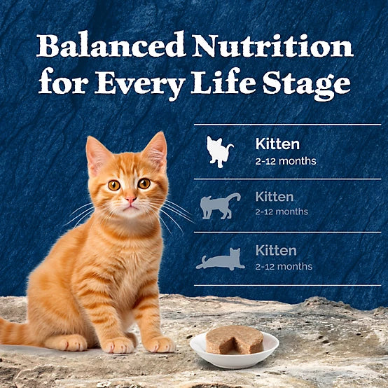 Blue Buffalo Wilderness Kitten Grain-Free Chicken/Salmon Pate Wet Cat Food Variety pk., 3 oz. Can, pk. of 6