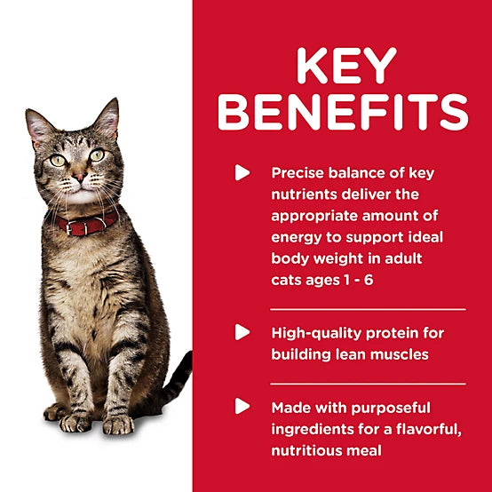 Hill's Science Diet Adult Savory Minced Salmon Entree Wet Cat Food, 5.5 oz