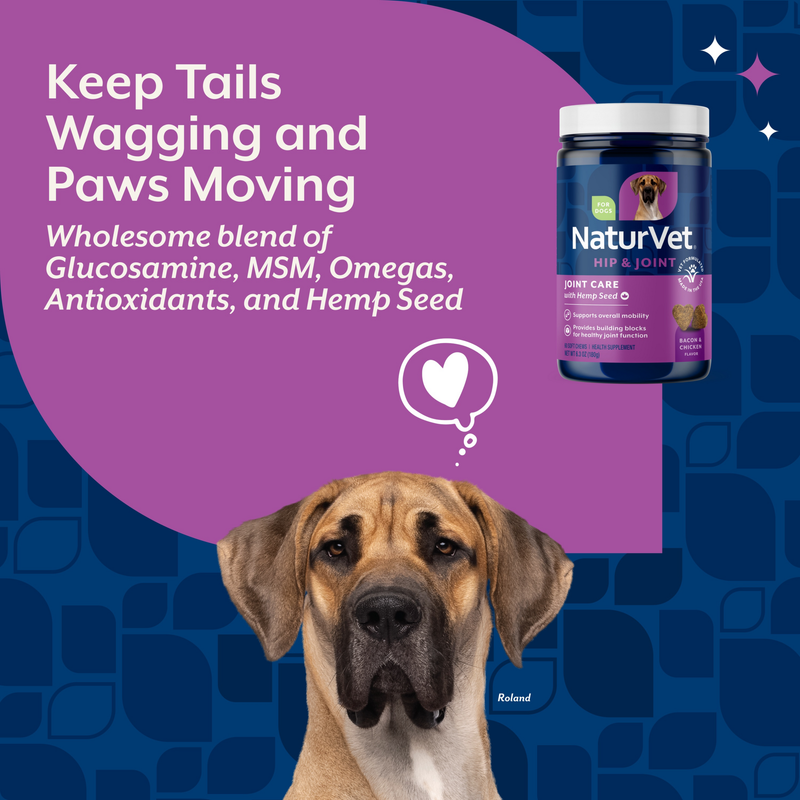 NaturVet Joint Care with Hemp Hip & Joint Supplement for Dogs, Bacon and Chicken Flavor, 60 Count