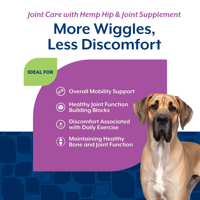 NaturVet Joint Care with Hemp Hip & Joint Supplement for Dogs, Bacon and Chicken Flavor, 60 Count
