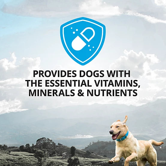 4health 4-in-1 Multivitamin Soft Chewable Dog Supplements for Dogs, 60 ct.