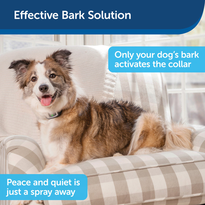 PetSafe Spray Bark Dog Collar