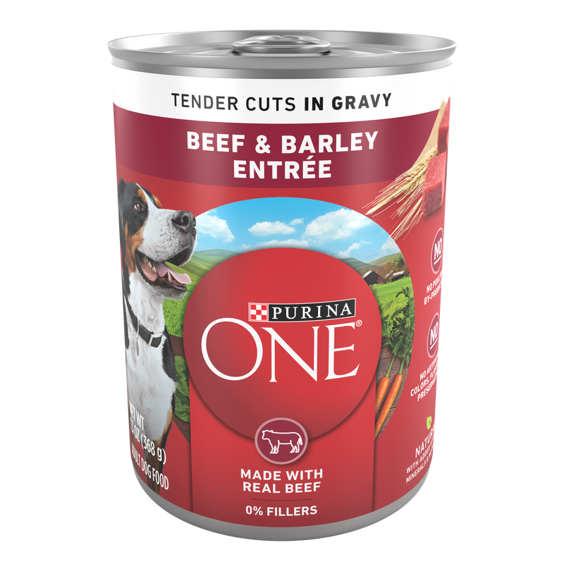 Purina ONE Tender Cuts in Gravy Beef and Barley Entree in Wet Dog Food Gravy