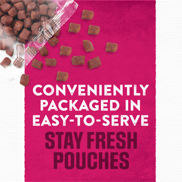 Purina Moist and Meaty Steak Flavor Soft Dog Food Pouches