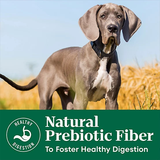 Nutro Natural Choice Large Breed Puppy Farm-Raised Chicken, Brown Rice and Sweet Potato Recipe Dry Dog Food, 13lb