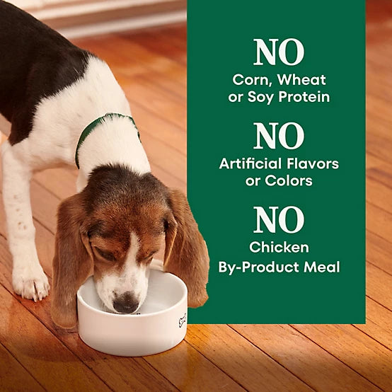 Nutro Natural Choice Large Breed Puppy Farm-Raised Chicken, Brown Rice and Sweet Potato Recipe Dry Dog Food, 13lb