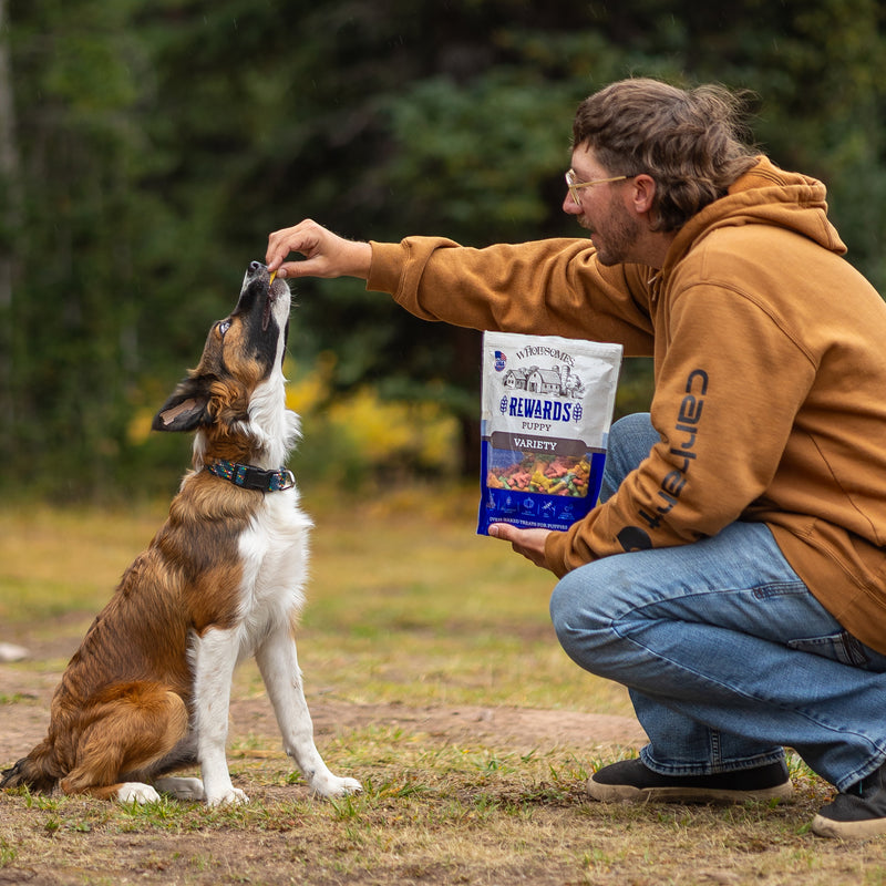 Wholesomes Rewards Puppy Variety Biscuit Dog Treats 2 lb