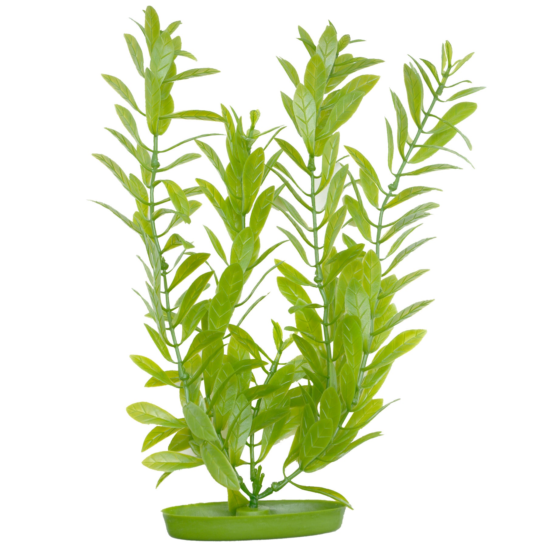 large plastic aquarium plants Marina Hygrophila Plant (12in Tall)