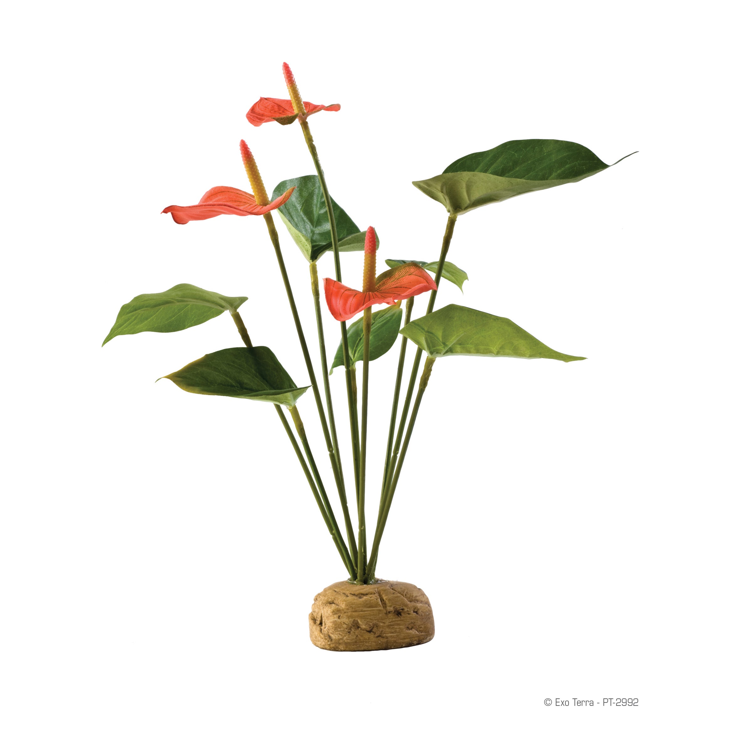 exo terra silk terrarium plant Exo Terra Anthurium Bush Terrarium Plant