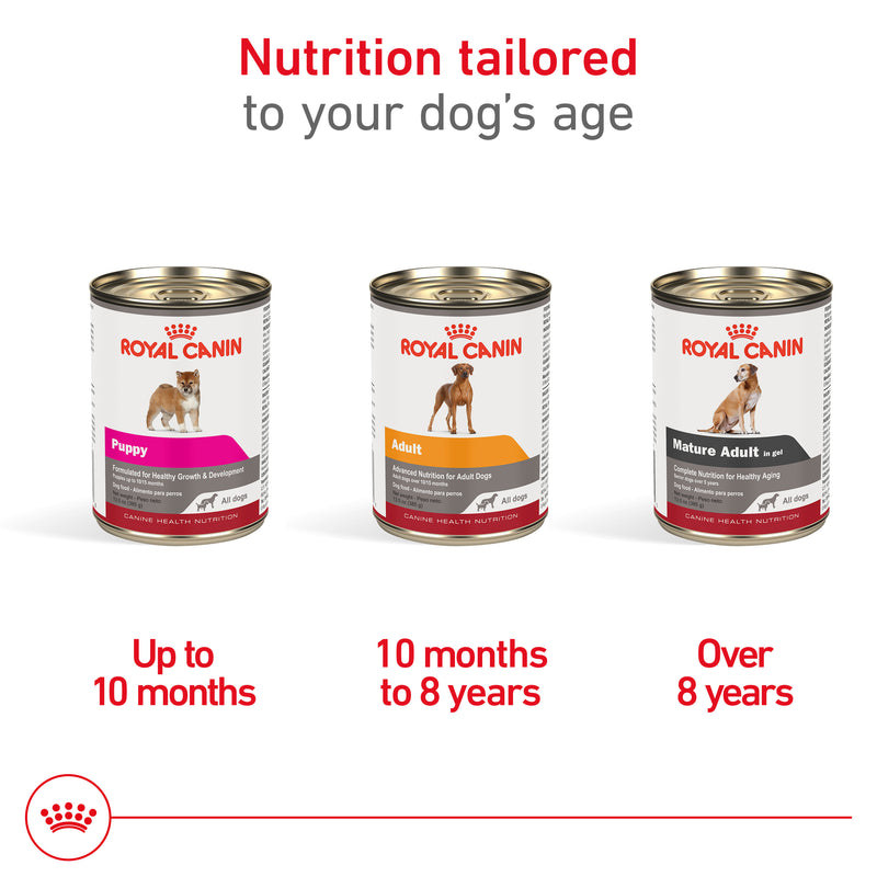 Royal Canin Canine Health Nutrition™ Mature Adult In Gel Canned Dog Food, 13.5 oz