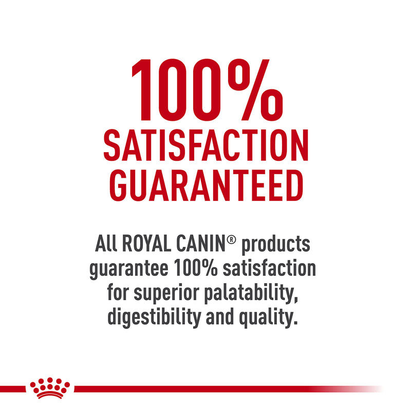 Royal Canin Canine Health Nutrition™ Mature Adult In Gel Canned Dog Food, 13.5 oz