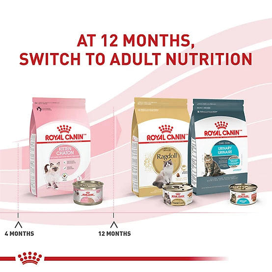 Royal Canin Kitten Loaf in Sauce Wet Cat Food, 5.1 oz.