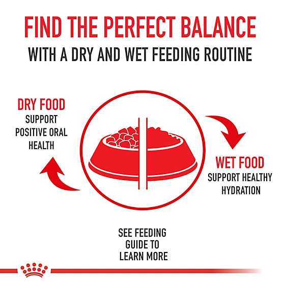 Royal Canin Kitten Instinctive Loaf in Sauce Canned Cat Food, 3 oz.