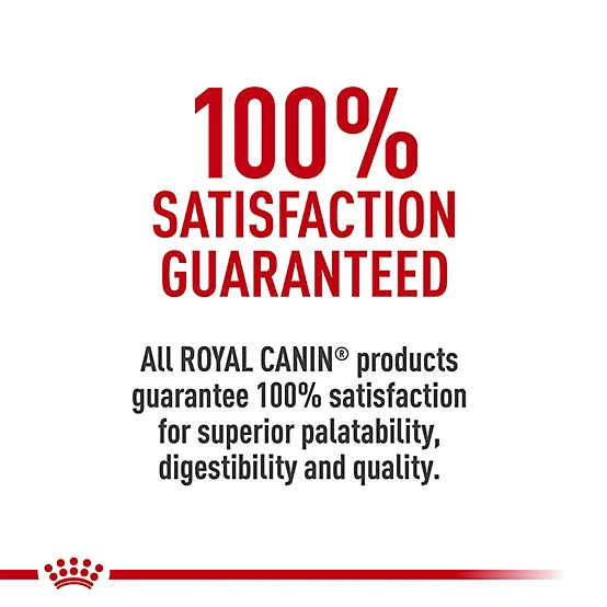 Royal Canin Kitten Instinctive Loaf in Sauce Canned Cat Food, 3 oz.