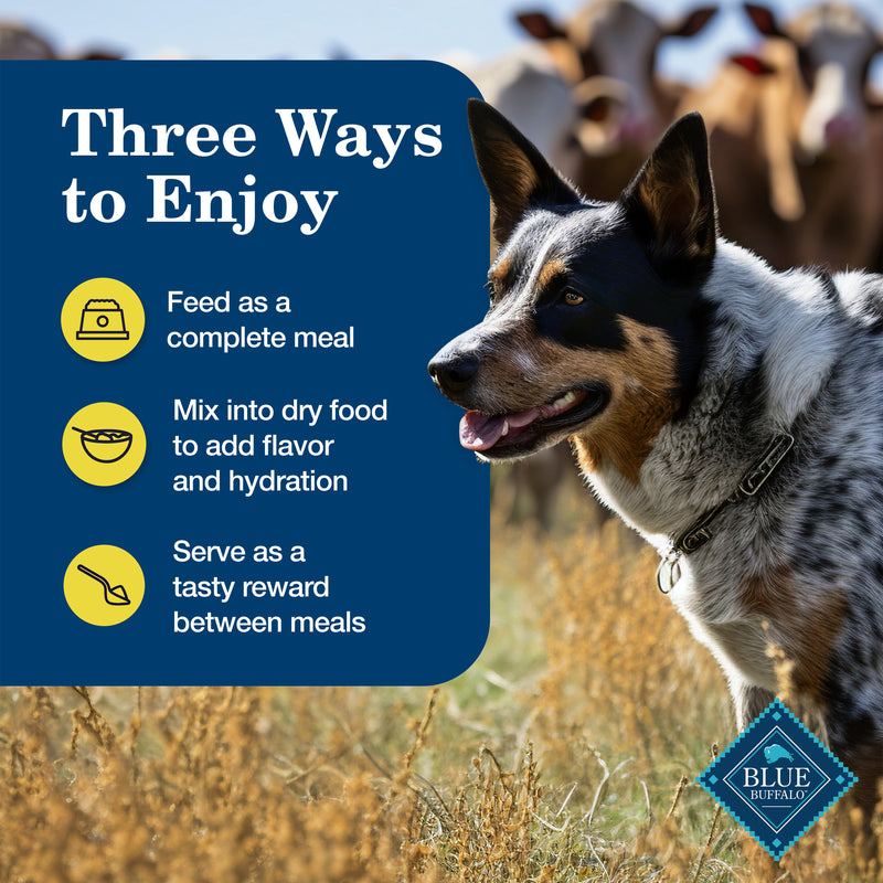Blue Buffalo Homestyle Recipe Healthy Weight Adult Wet Dog Food, Chicken Dinner With Garden Vegetables, 12.5-oz. Can