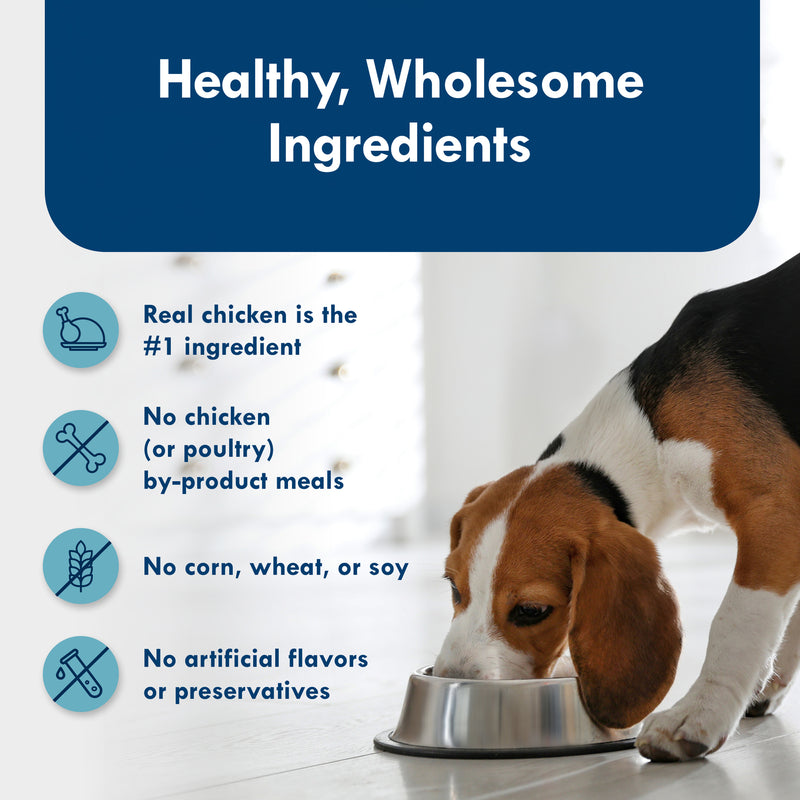 Blue Buffalo Delights Small Breed Natural Wet Dog Food, Grilled Chicken Paté, 3.5-oz. Cup