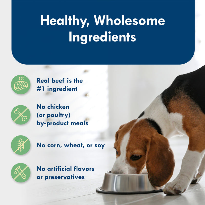 Blue Buffalo Delights Small Breed Natural Wet Dog Food, NY Strip Flavor in Gravy, 3.5-oz. Cups