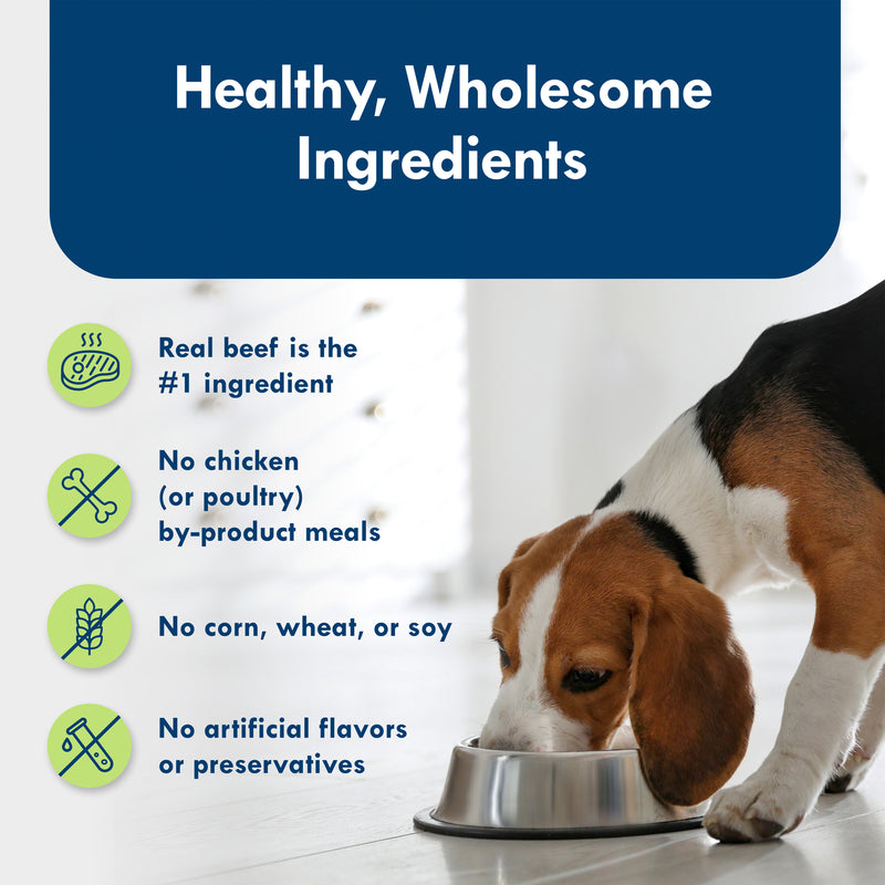Blue Buffalo Delights Small Breed Natural Wet Dog Food, Filet Mignon Flavor in Gravy, 3.5-oz. Cups