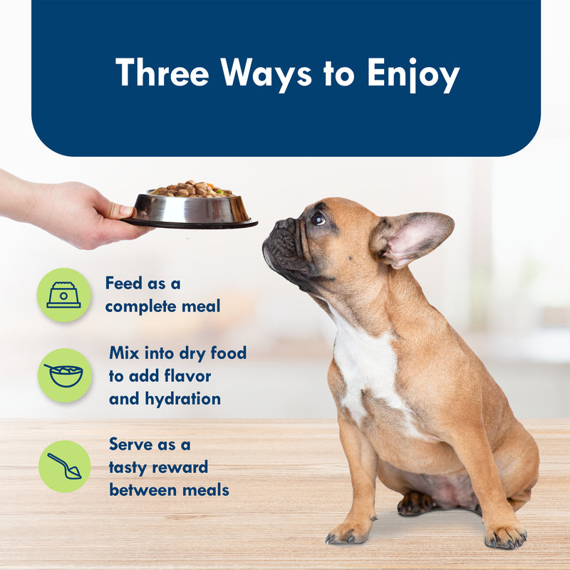 Blue Buffalo Delights Small Breed Natural Wet Dog Food, Filet Mignon Flavor in Gravy, 3.5-oz. Cups