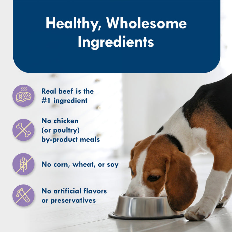 Blue Buffalo Delights Small Breed Natural Wet Dog Food, Porterhouse Paté, 3.5-oz. Cup