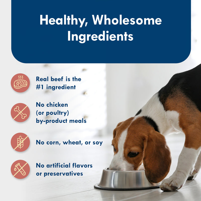 Blue Buffalo Delights Small Breed Natural Wet Dog Food, Prime Rib Flavor in Gravy, 3.5-oz. Cups