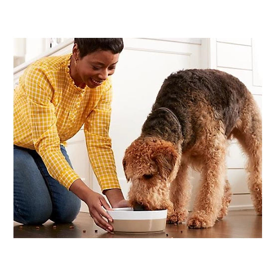Blue Buffalo Delights Small Breed Adult Grain-Free Top Sirloin/Grilled Chicken Pate Wet Dog Food pk., 3.5 oz. Cup, pk. of 12