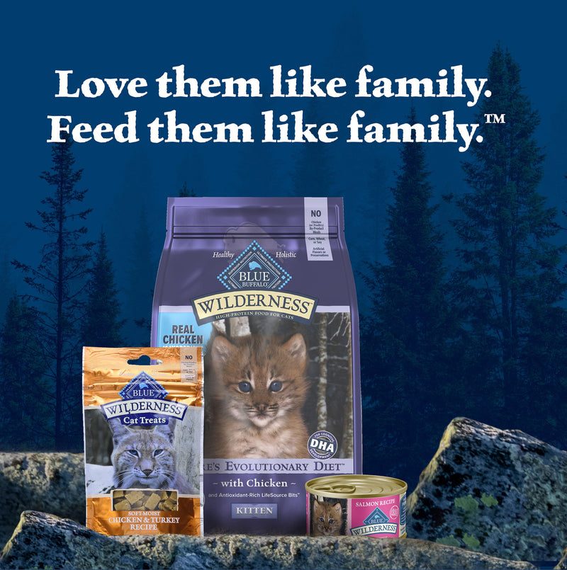 Blue Buffalo Wilderness Natural High Protein Grain Free Wet Food for Kittens, Salmon Pate, 3-oz