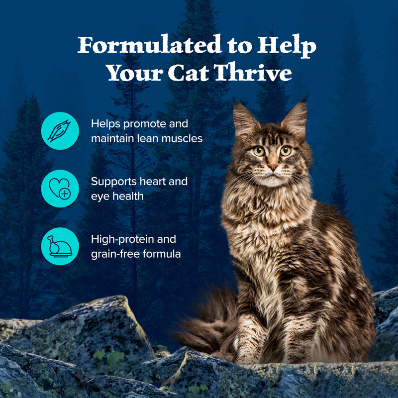 Blue Buffalo Wilderness Wild Delights Adult Flaked Wet Cat Food, High-Protein & Grain-Free, Chicken & Trout Recipe in Tasty Gravy, 5.5-oz. Can