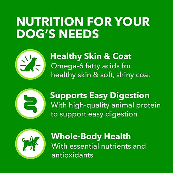 Iams Proactive Health Senior Cooked Chicken and Rice Classic Ground Wet Dog Food, 13 oz.