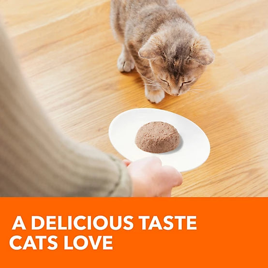 Iams Perfect Portions Adult Grain-Free Chicken Pate Wet Cat Food, 2.6 oz.