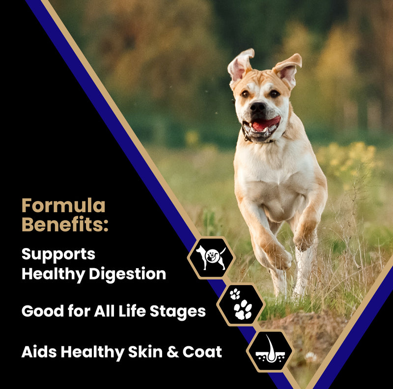 Victor Beef Meal & Rice Dry Dog Food