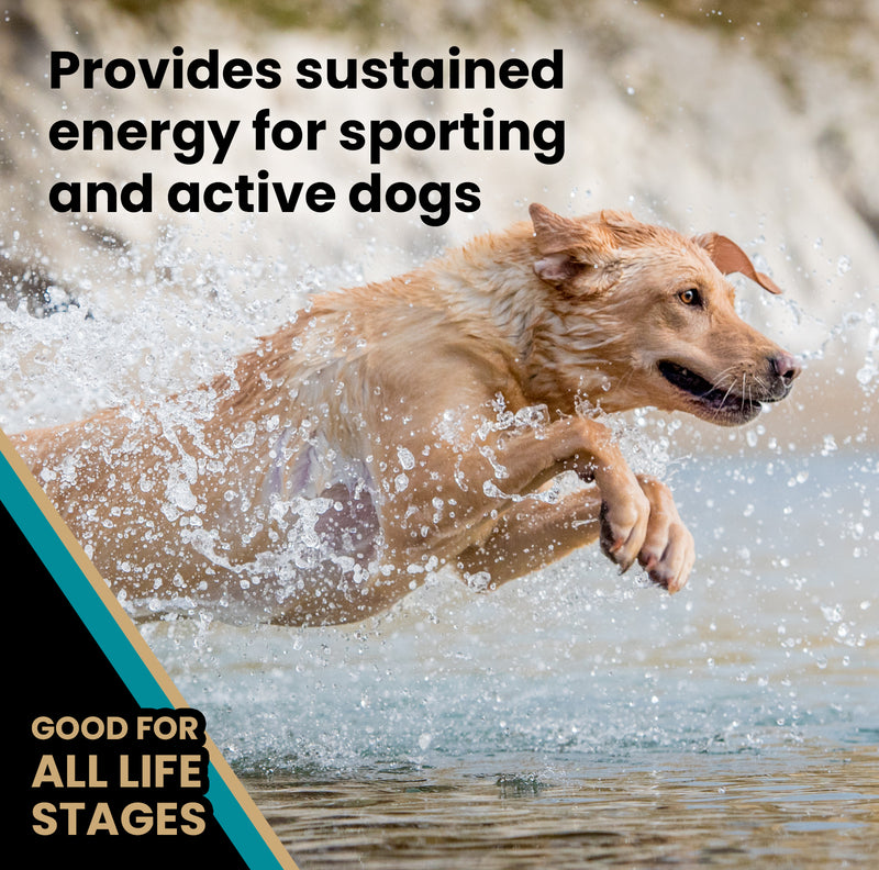 Victor Hi Pro Plus Dry Dog Food