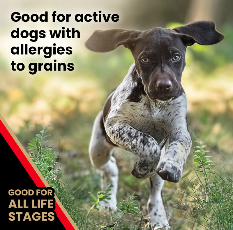 Victor Grain Free Active Dog & Puppy Dry Dog Food