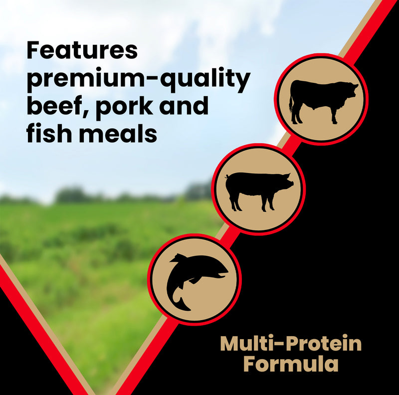 Victor Grain Free Active Dog & Puppy Dry Dog Food