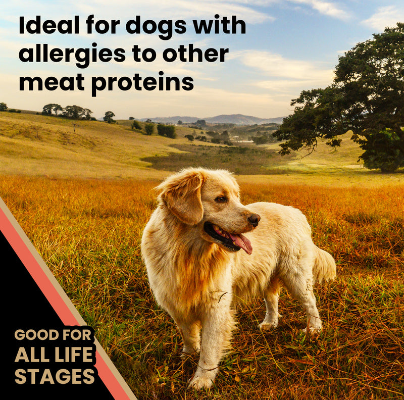 Victor Grain Free Yukon River Dry Dog Food