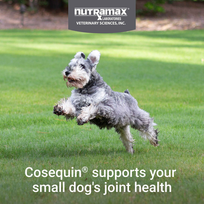 Mini Jaint Nutramax Cosequin Minis Joint Health Supplement for Small Dogs, 45 Sof ...