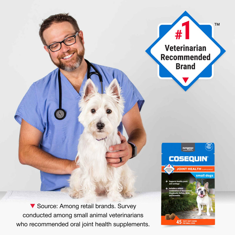 Nutramax Cosequin Minis Joint Health Supplement for Small Dogs, 45 Soft Chews