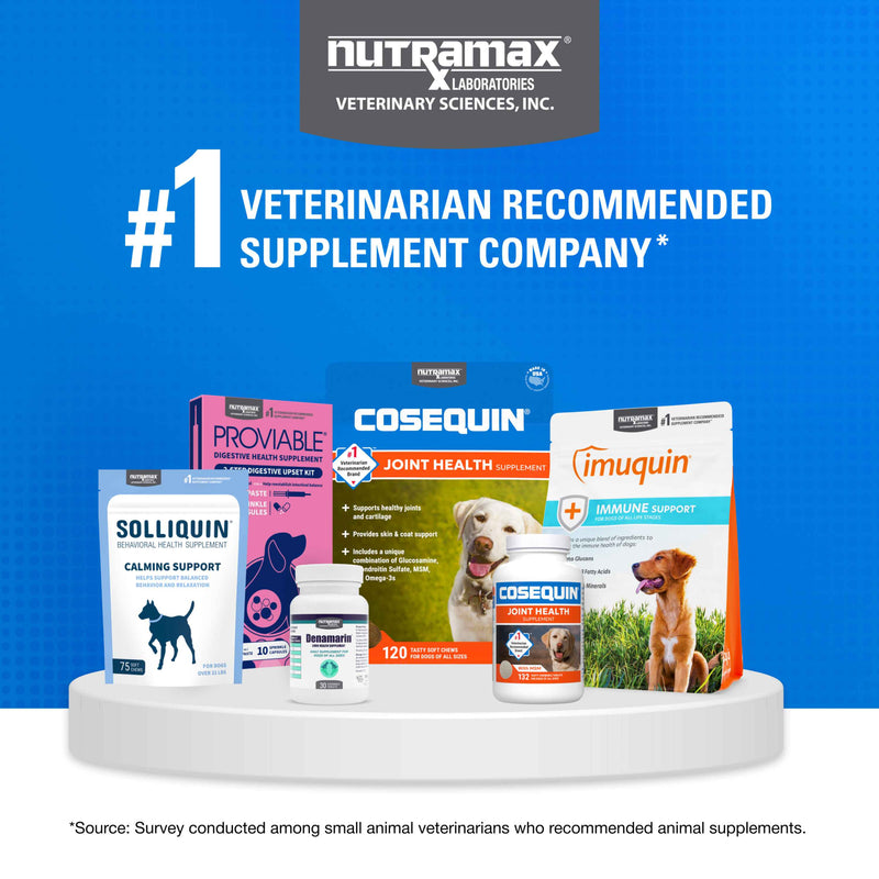 Nutramax Cosequin Minis Joint Health Supplement for Small Dogs, 45 Soft Chews