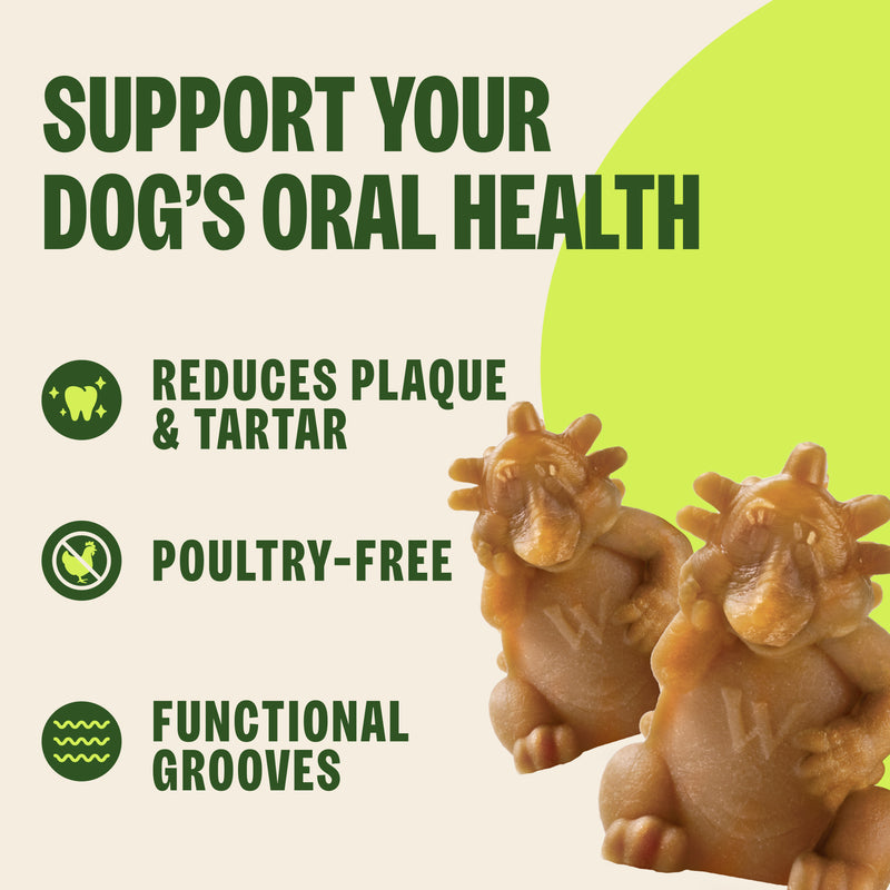 Whimzees Hedgehog Dental Chew Dog Treats, Large