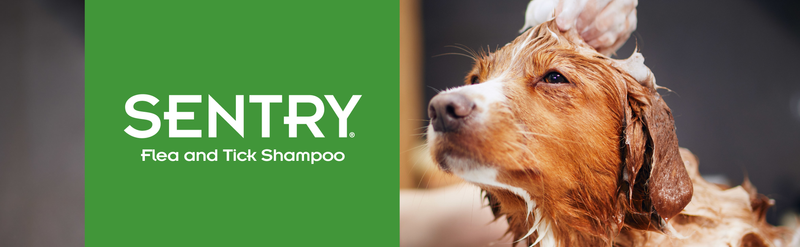 Sentry Flea & Tick Oatmeal Shampoo Dog 63.5OZ