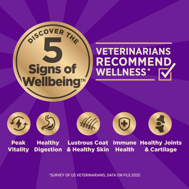 Wellness CORE+ (Formerly RawRev) Dry Dog Food with Freeze Dried Pieces, Grain Free, High Protein, Natural, Original Turkey & Chicken Recipe, (4-Pound Bag)