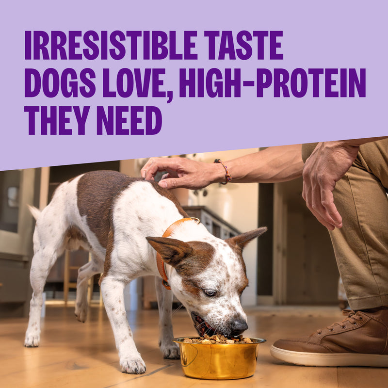 Wellness CORE RawRev Natural Grain Free Original Turkey & Chicken with Freeze Dried Turkey Dry Dog Food