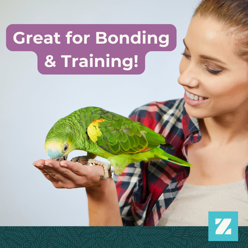 Zupreem Pure Fun Medium Bird Food 2lb- Love Birds, Quakers, Small Conures, Cockatiels