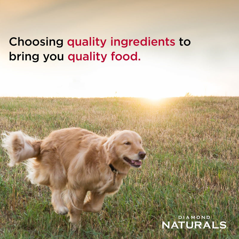 Diamond Naturals Lamb Dinner All Life Stages Canned Dog Food