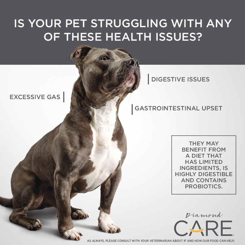 Diamond Care Adult Sensitive Stomach Formula Dry Dog Food