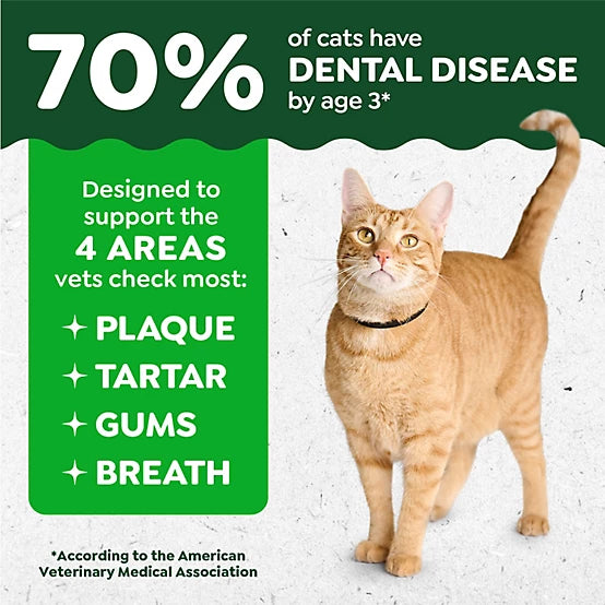 Greenies Natural Dental Care Cat Treats Oven Roasted Chicken Flavor, 21 oz.