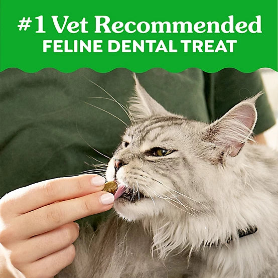 Greenies Natural Dental Care Cat Treats Oven Roasted Chicken Flavor, 21 oz.