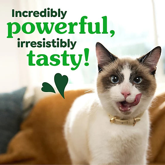 Greenies Natural Dental Care Cat Treats Oven Roasted Chicken Flavor, 21 oz.